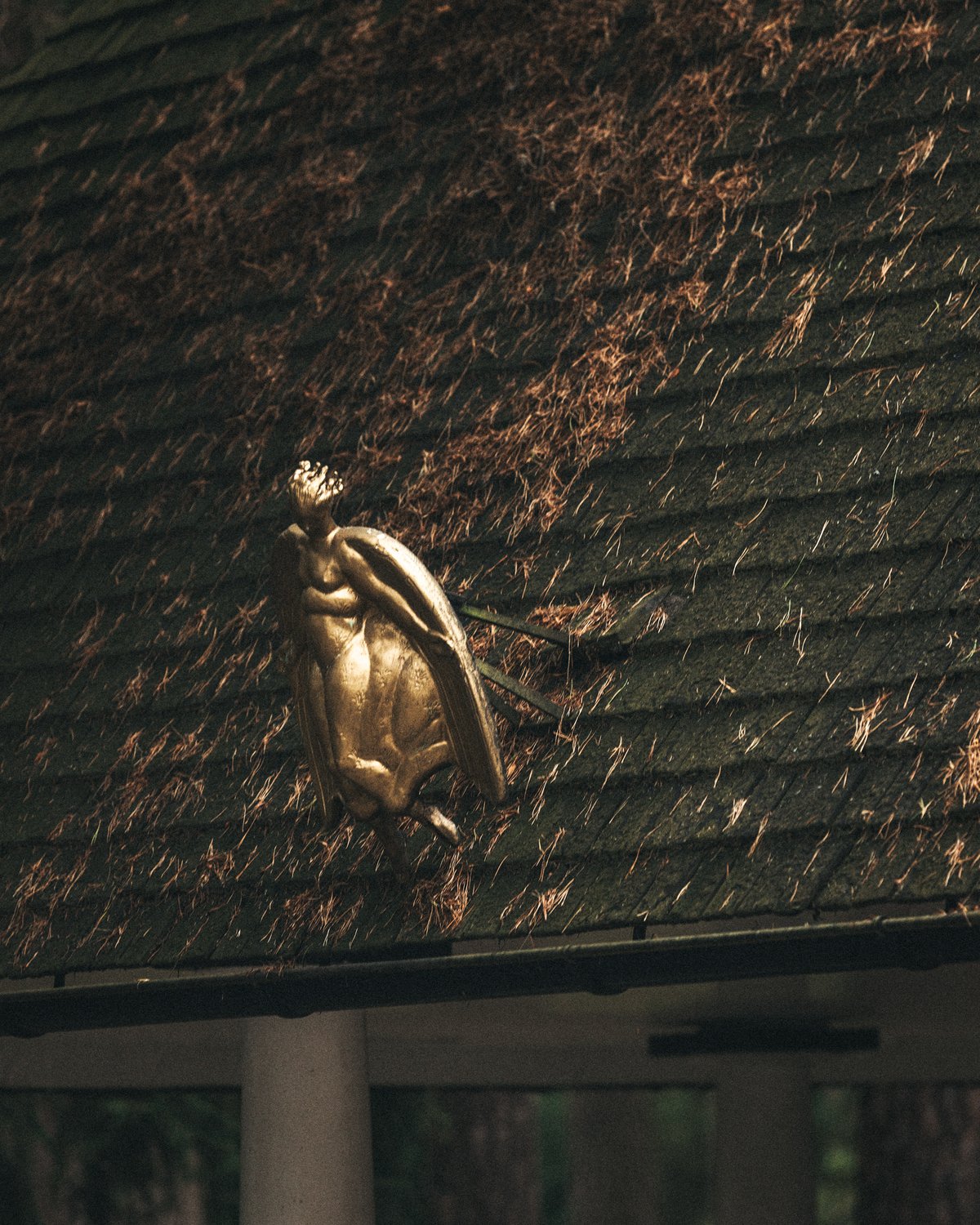 A golden sculpture of a winged figure mounted on a dark shingled rooftop, partially covered by pine needles.