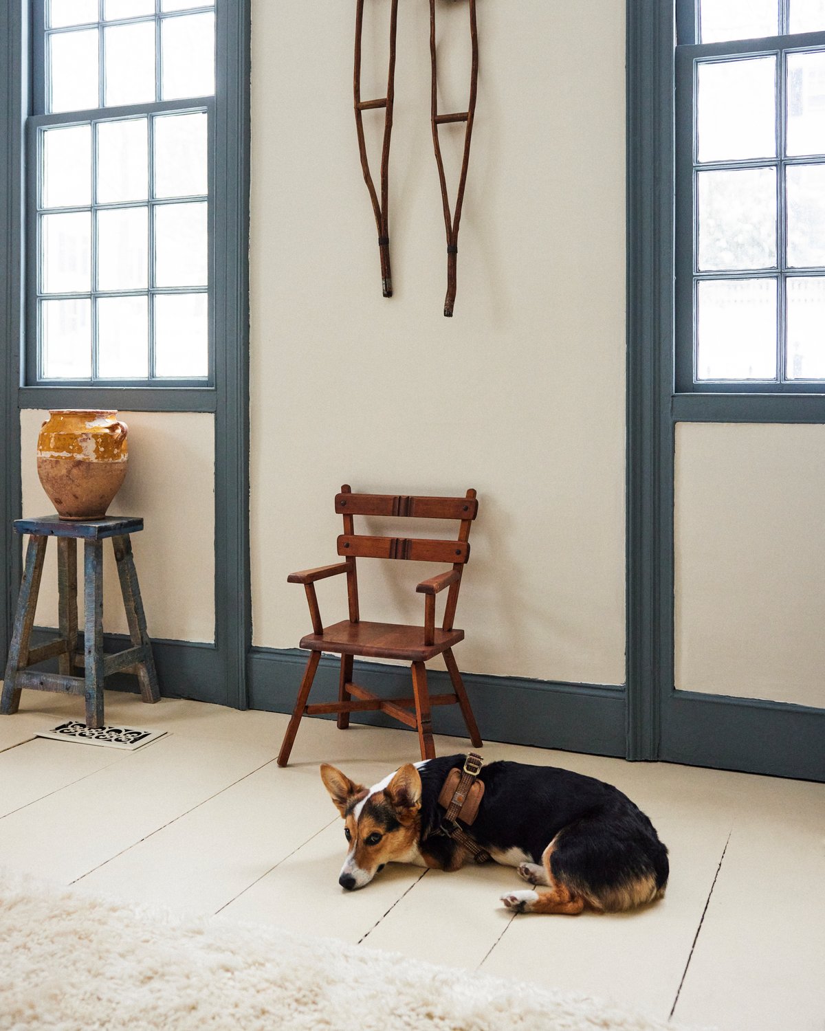 Fields Dusty White und Bernie, der Hund.