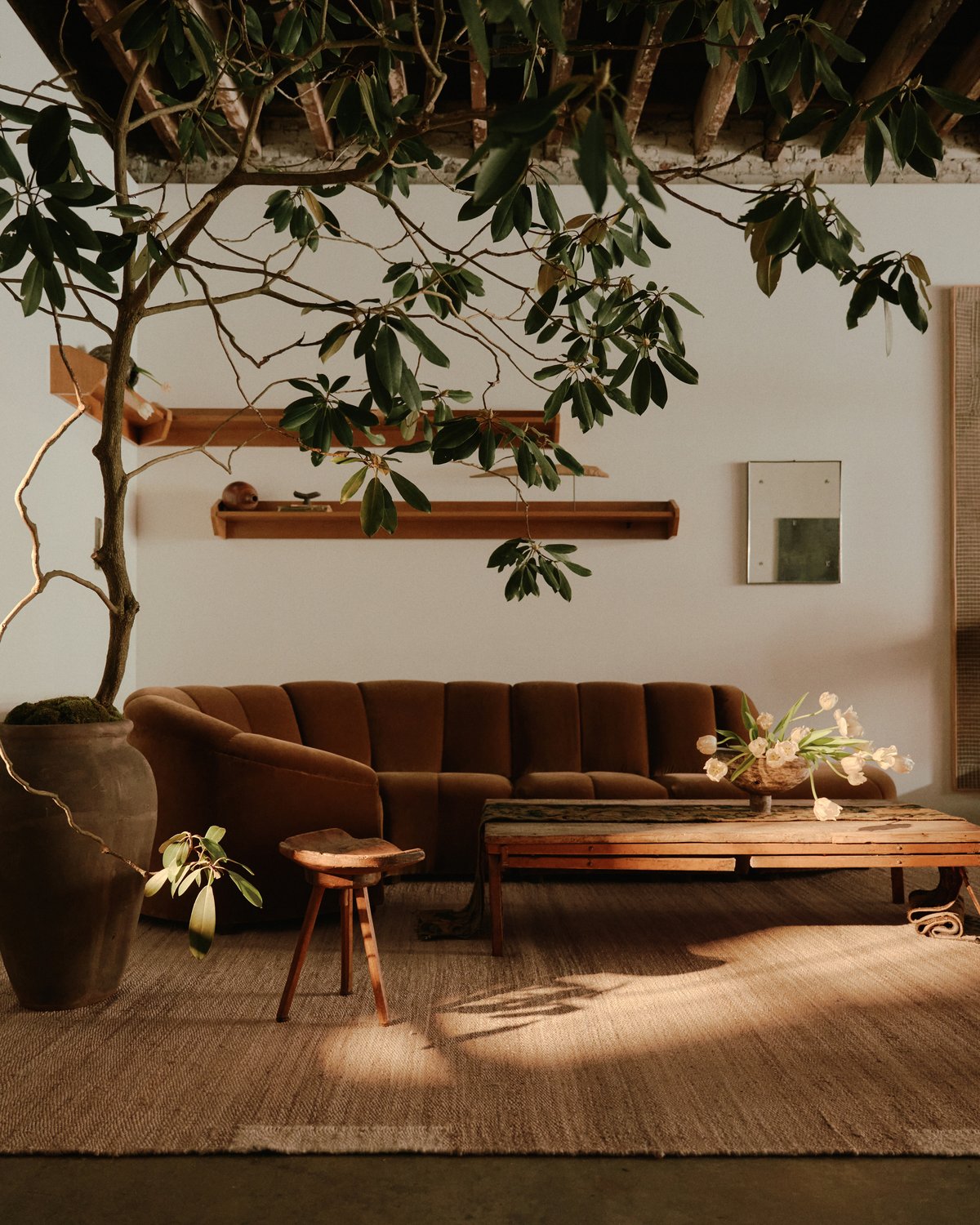 Tapis en jute Edge Cream photographié dans un salon chaleureux avec des meubles aux tons neutres et de grandes plantes au studio WAS à New York.