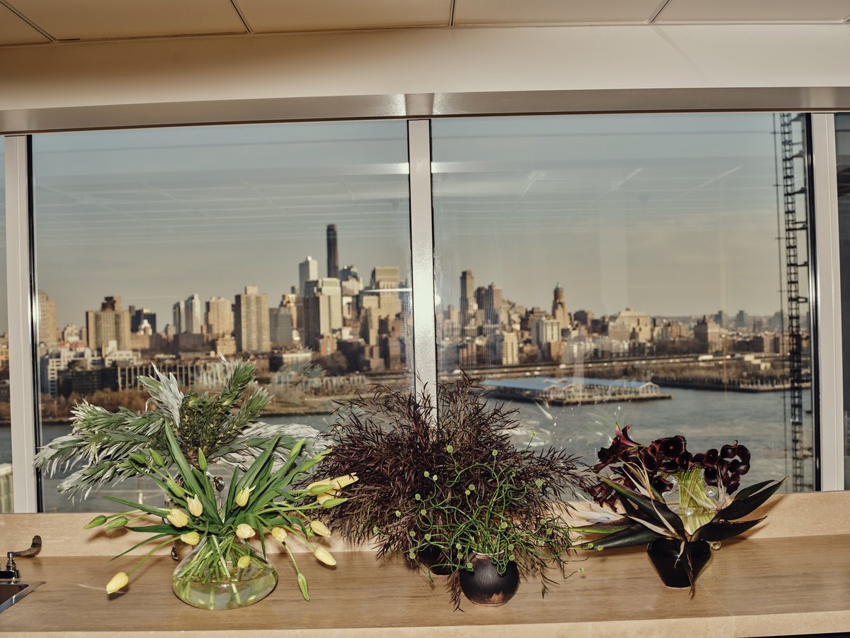 Trois magnifiques arrangements floraux exposés devant une fenêtre lumineuse, avec vue sur des immeubles de grande hauteur à New York, États-Unis.